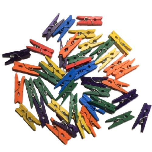 Craft Mini Wooden Pegs - Multi or Natural