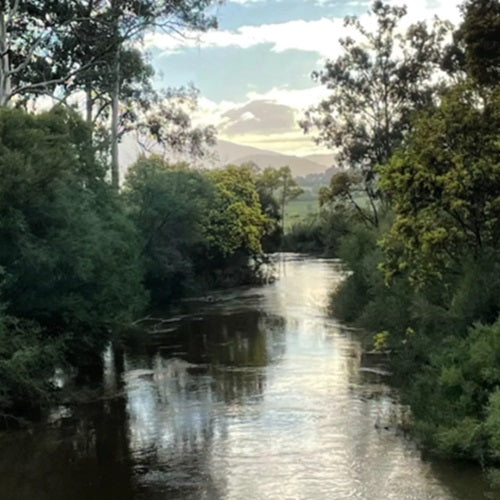 Located in Yarra Valley, Victoria