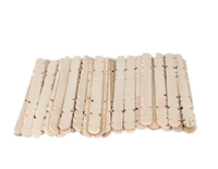 Craft Construction Sticks - 100 Pieces - Multi or Natural